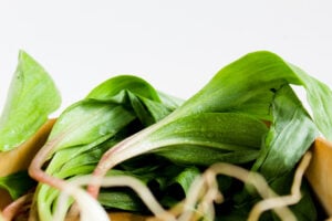 fresh ramp leaves.
