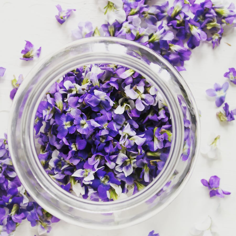 violets spilling out of jar