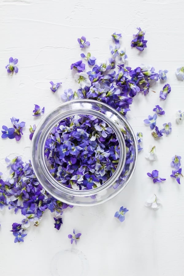 fresh purple violet flowers in glass jar