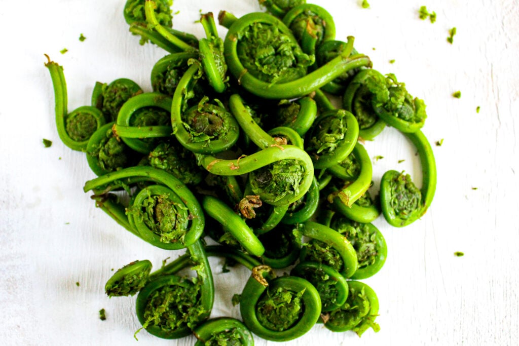 fiddlehead ferns