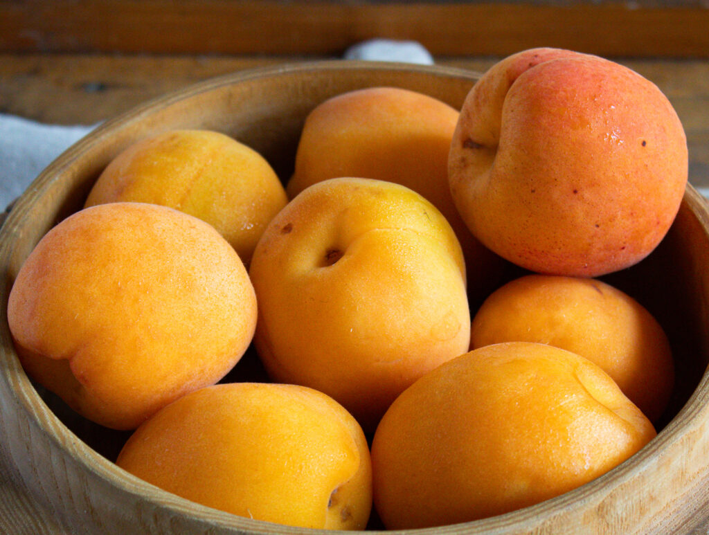 bowl of fresh apricots for chamomile clafoutis. 