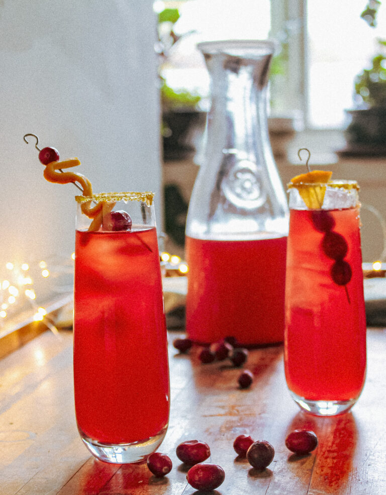 Cranberry Apple Cider Holiday Cocktail with Ginger