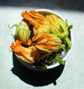 bowl of fresh squash blossoms