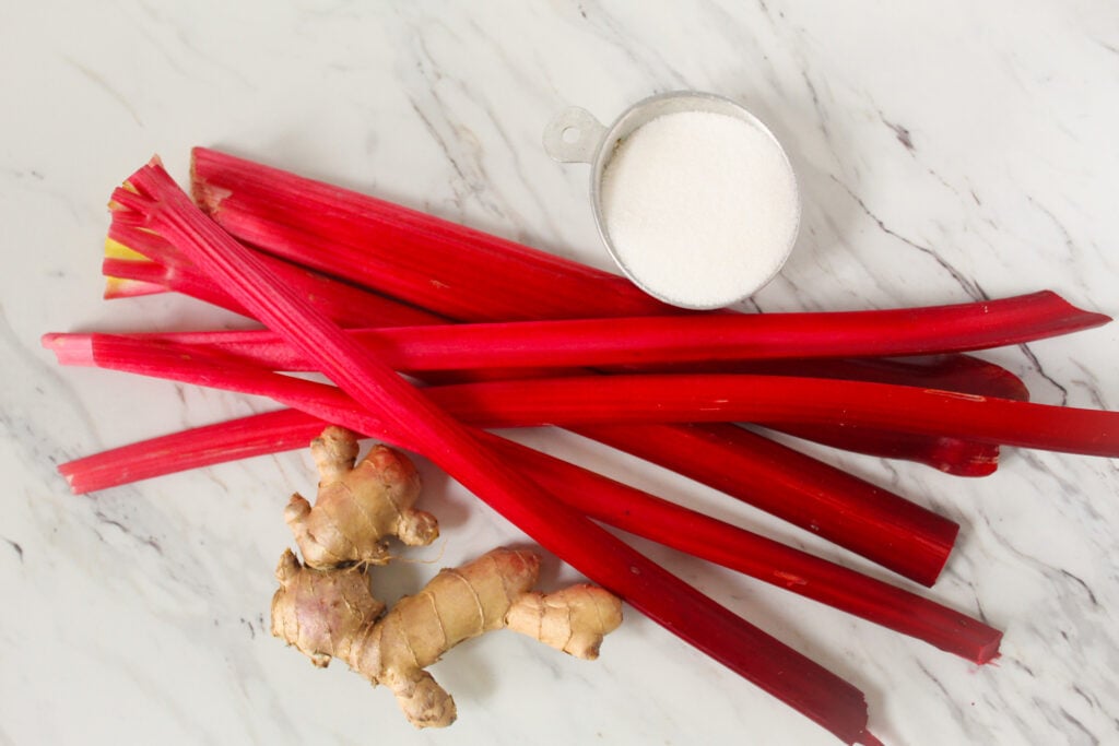 stalks of fresh rhubarb for rhubarb simple syrup with ginger. 