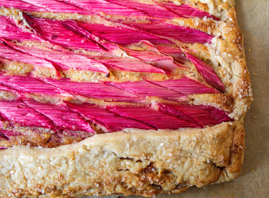 rhubarb galette. 