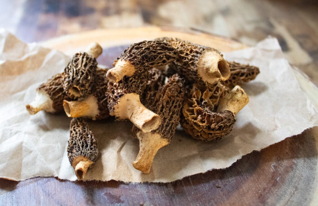 morel mushrooms.