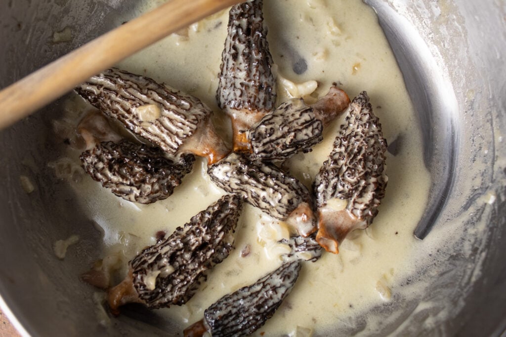 creamy morel mushroom toast. 