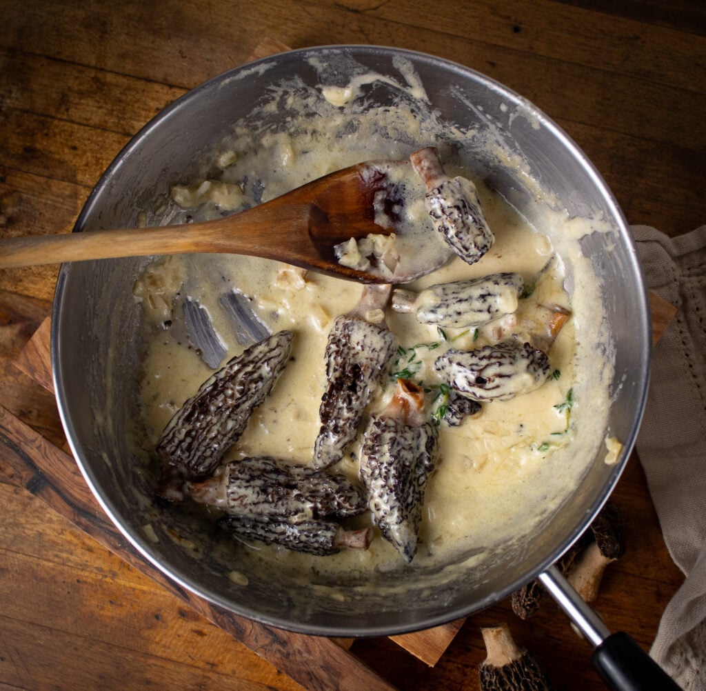 creamy morel mushroom toast.