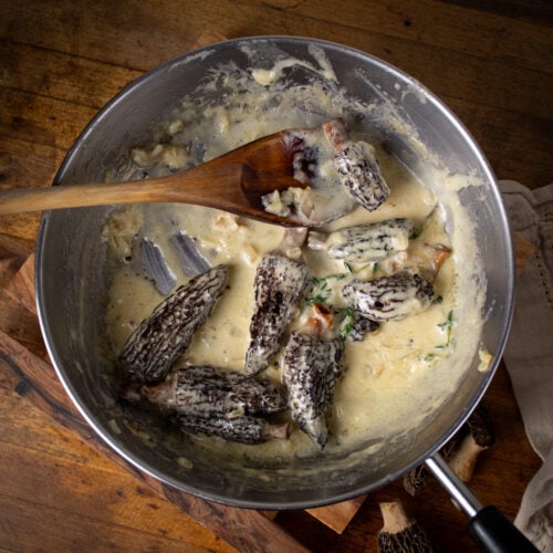 creamy morel mushroom toast.