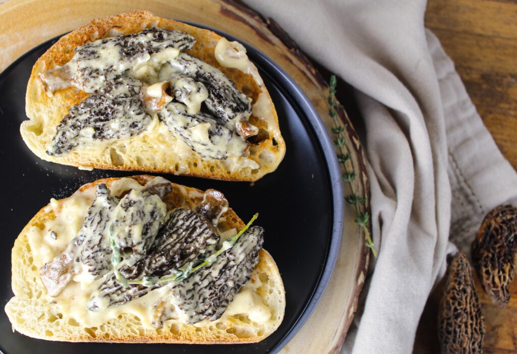 creamy morel  mushroom toast.