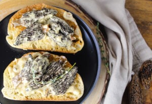 creamy morel mushroom toast.