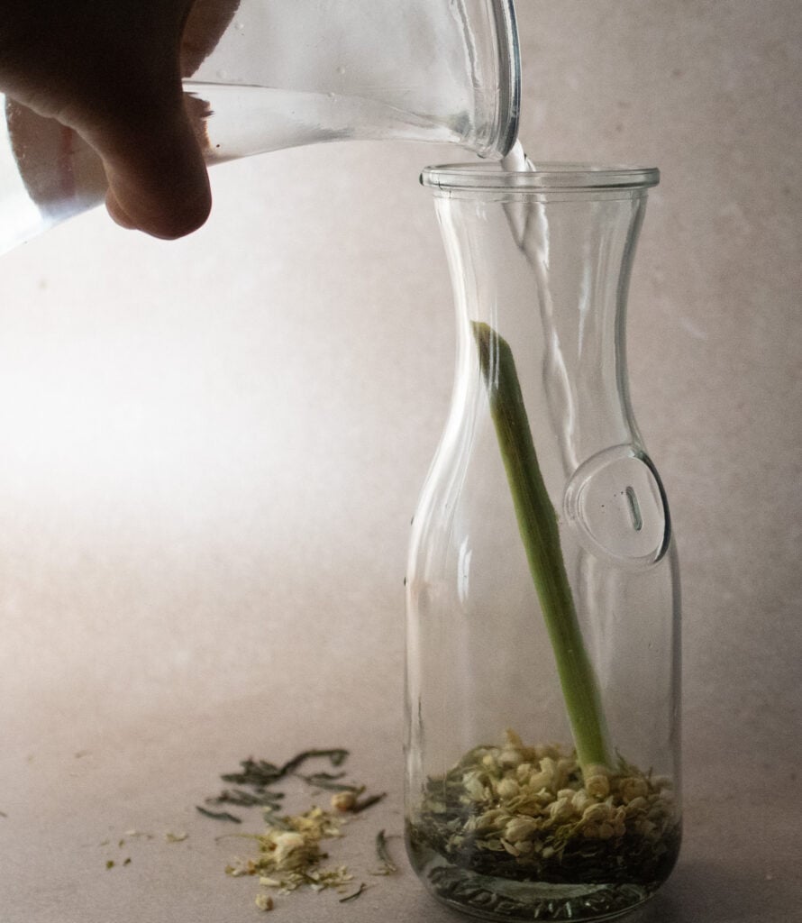 Botanical Cold Brew Green Tea with Jasmine and Lemongrass