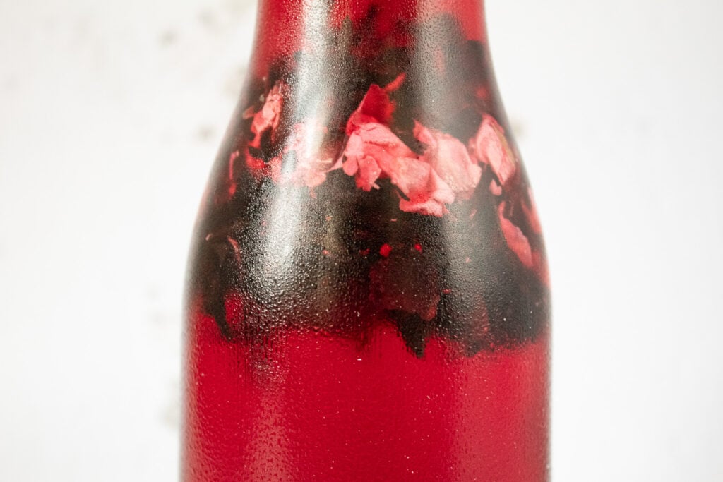 Botanical Cold Brew Oolong with Hibiscus and Rose