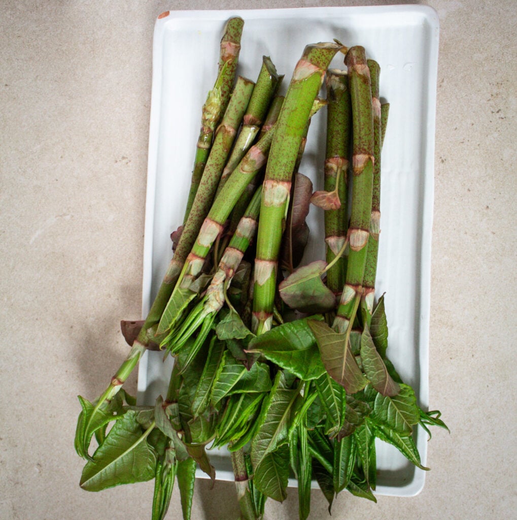 foraged Japanese knotweed.