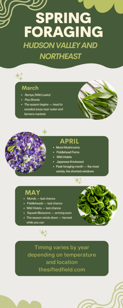Spring Foraging Guide for the Northeast. 