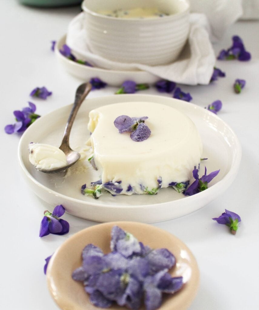 violet panna cotta.