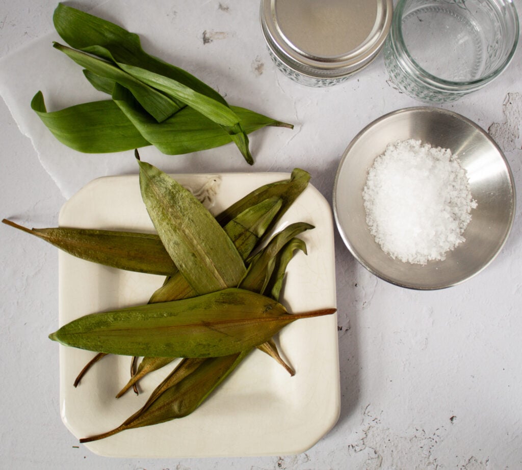 Roasted Ramp Salt with Flaky Sea Salt