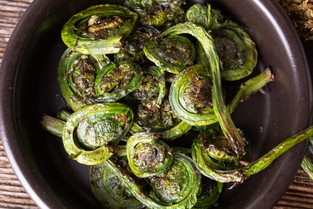 Grilled Fiddleheads with Burrata and Tarragon Oil