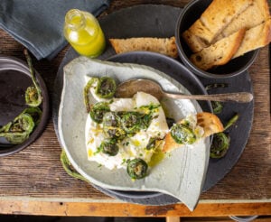 Grilled Fiddleheads with Burrata and Tarragon Oil