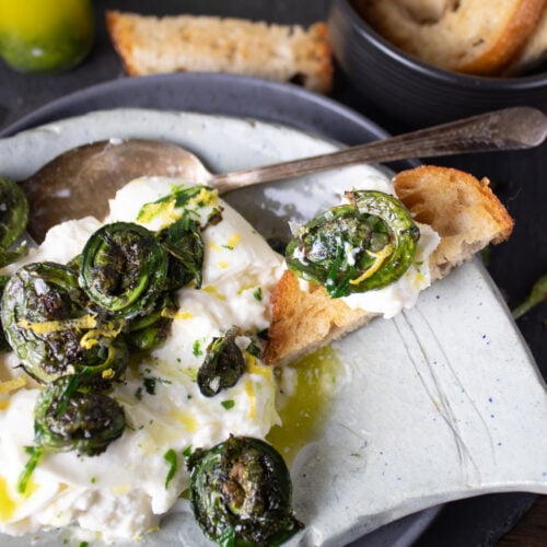 Grilled Fiddleheads with Burrata and Tarragon Oil.
