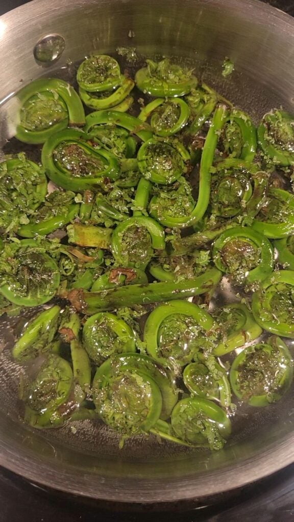Grilled Fiddleheads with Burrata and Tarragon Oil