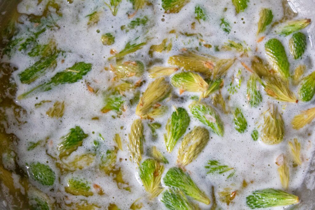 Spruce tips infusing in butter for spruce tip honey loaf cake. 
