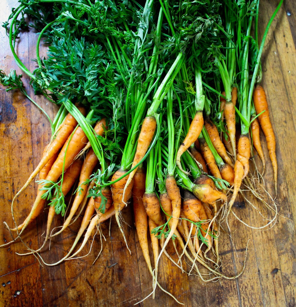 Carrot Top Pesto.