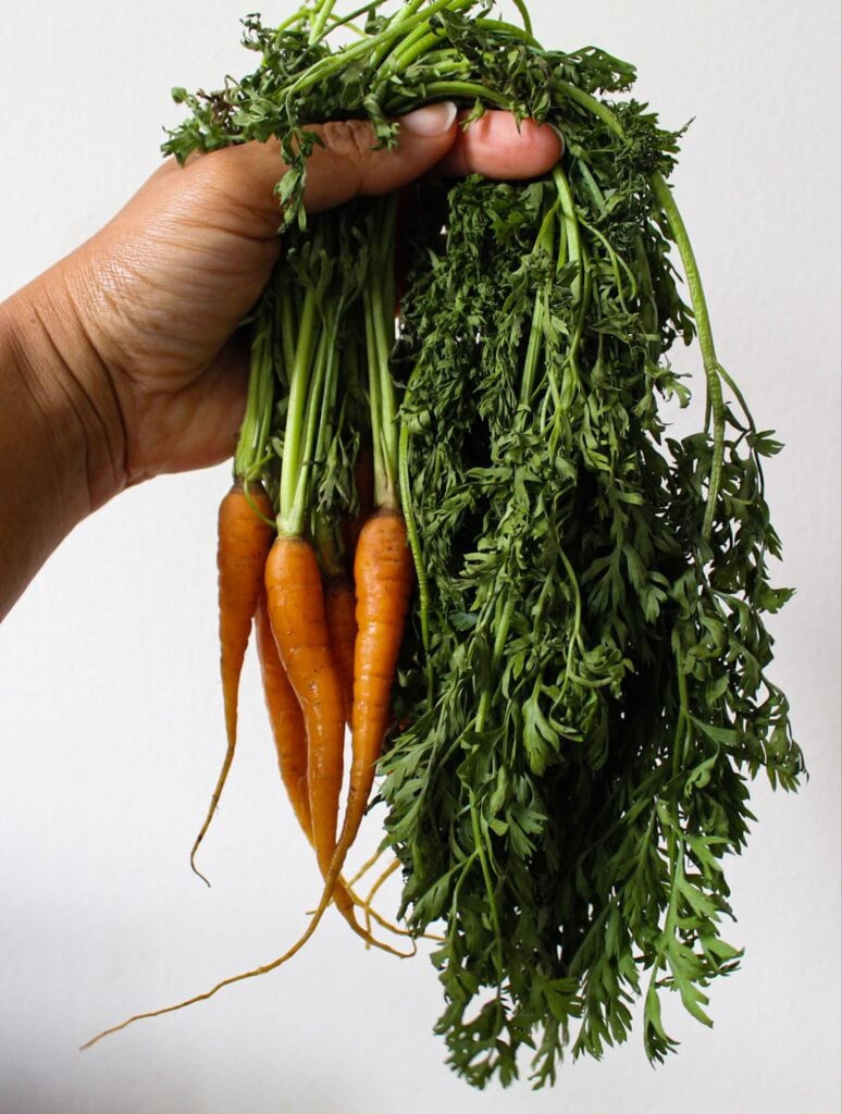 Carrot Top Pesto.